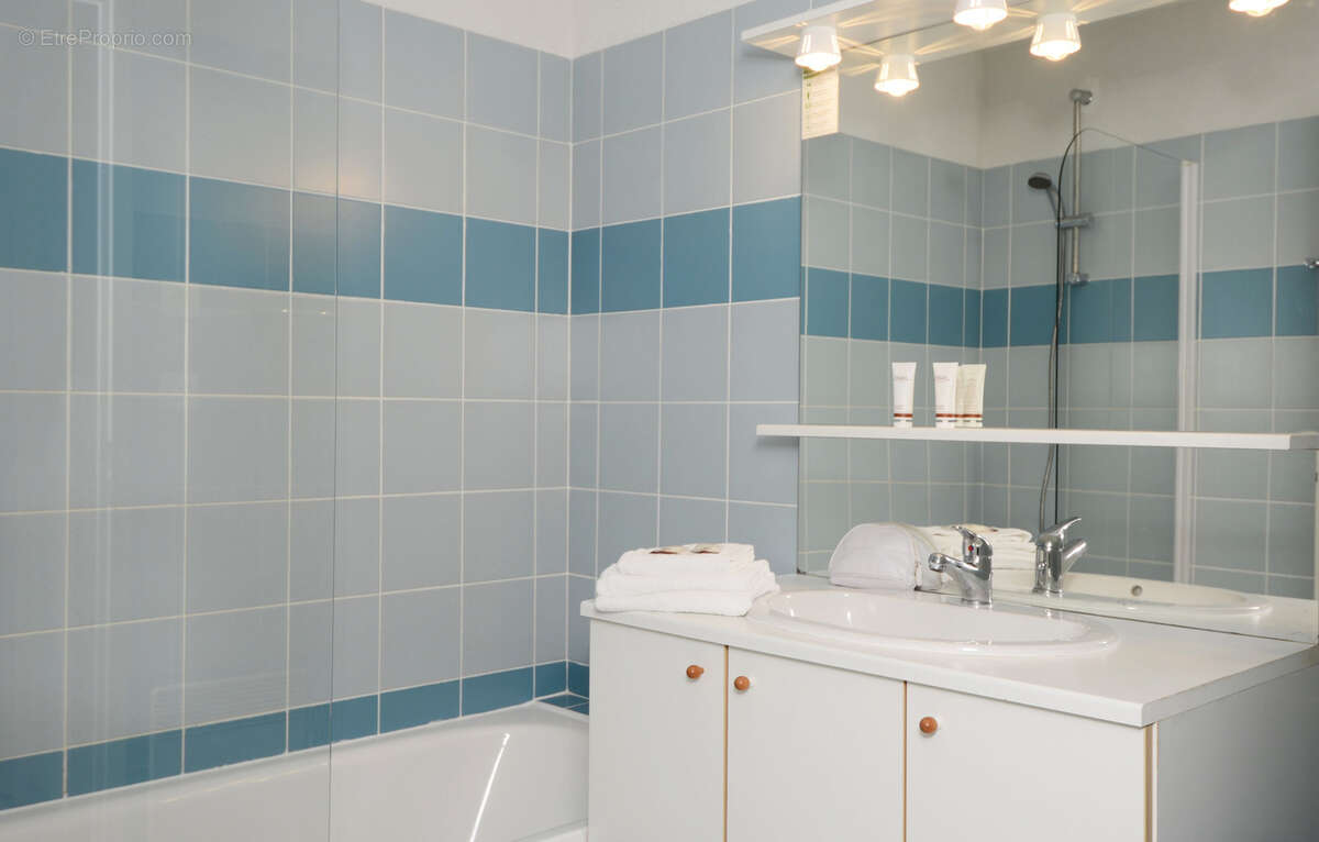 Placement immobilier- 2 pieces duplex  - residence le hameau du lac - photo 5