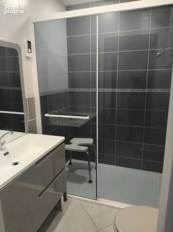 A vendre maison 8 pièces avec jardin, terrasse et vaste garage. - photo 10