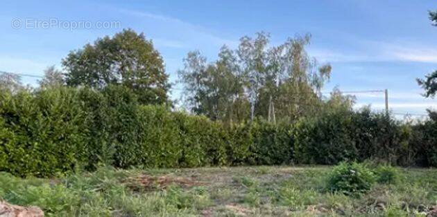 Terrain à PRISSE
