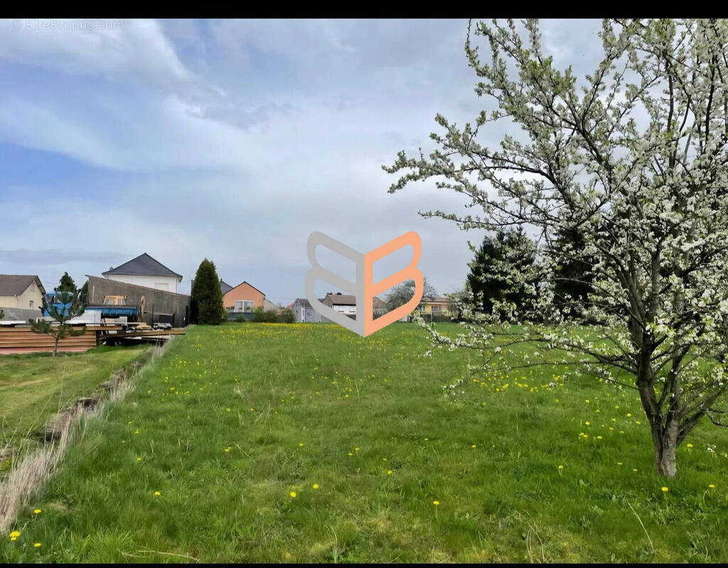 Terrain à HUSSIGNY-GODBRANGE