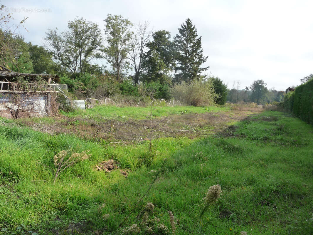 Maison à MORNAND-EN-FOREZ