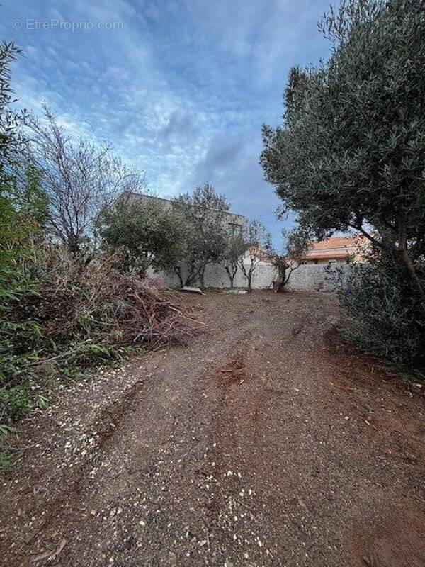 Photo 1 - Terrain à LA SEYNE-SUR-MER