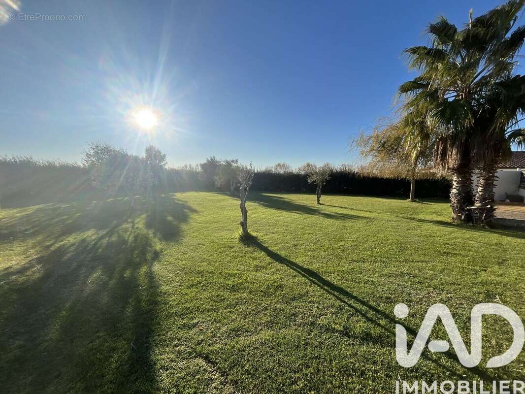 Photo 5 - Maison à ARGELIERS