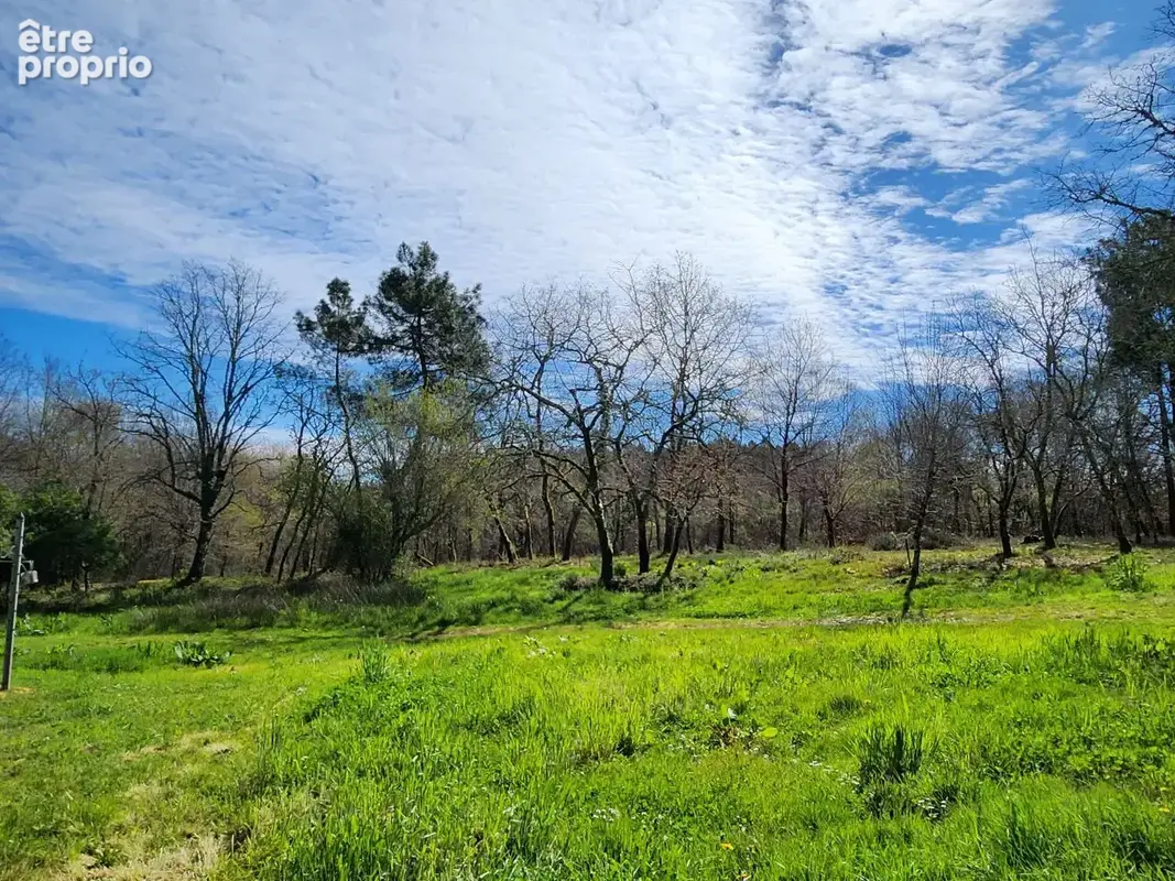 Maison de 50m2 au milieu de son terrain de 8158m2! - photo 14