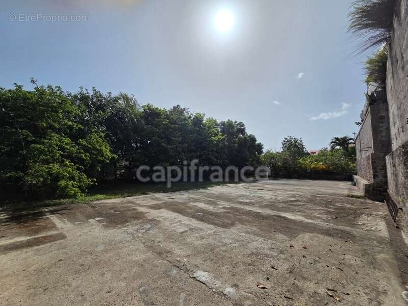Propriété rare avec maison + 3 logements indépendants – 1850 m² constructible – Basse-Terre centre - photo 25