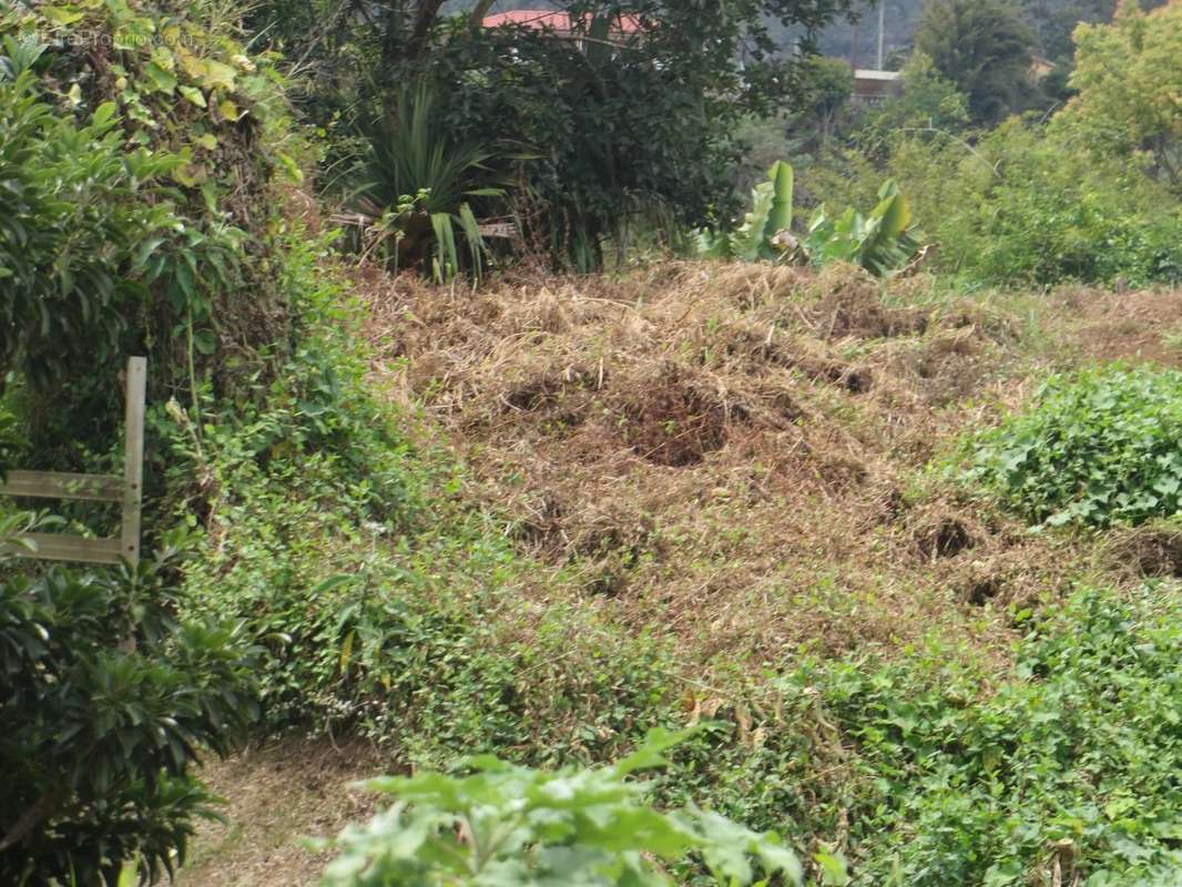 Terrain à LA POSSESSION