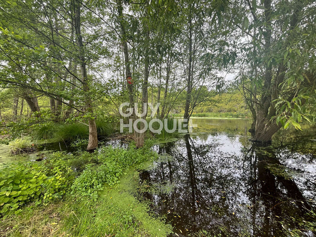 Maison à vendre à Conie Molitard - Référence 6393 - photo 12