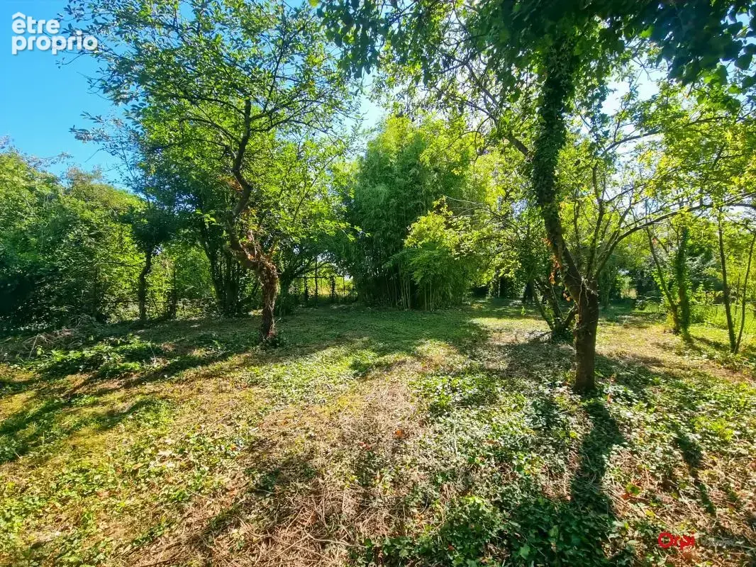  Beau potentiel d’aménagement avec dépendance  et jardin clos , à deux pas des écoles  et commerces  - photo 10