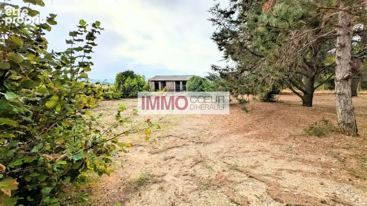 Villa de style vigneronne  218 m²  terrain de 3 980 m²  saint-andré-de-sangonis - photo 17