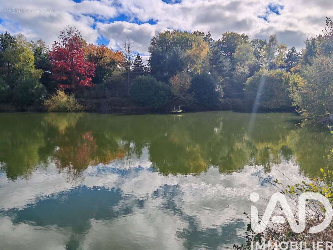Photo 4 - Terrain à NERIS-LES-BAINS