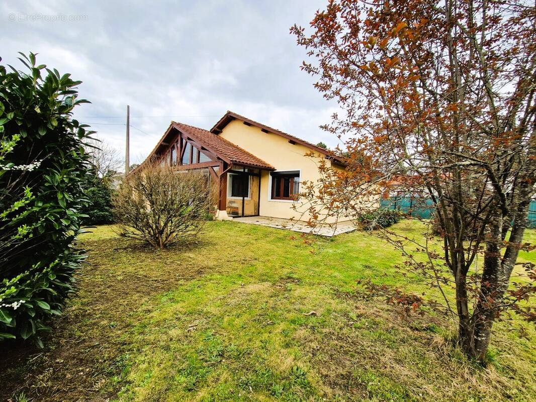 Photo-2025/040209-1-1 - Maison à PISSOS