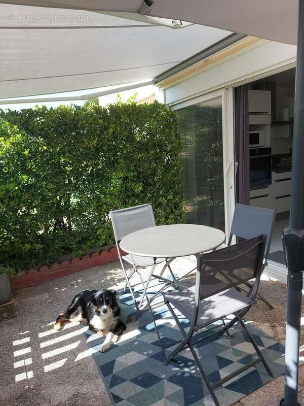 Photo 6 - Appartement à GRUISSAN