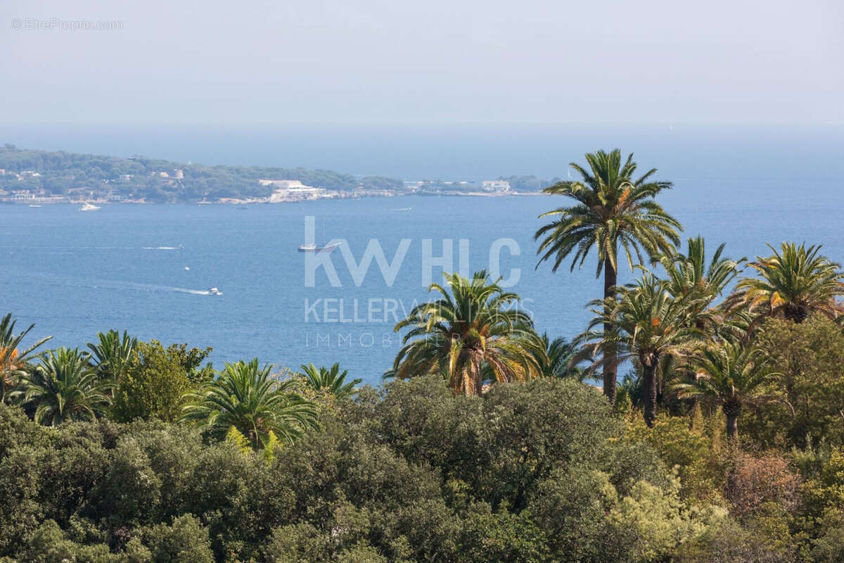 Maison 228 m² à Vallauris  - photo 4