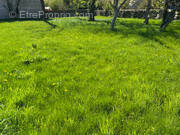 Terrain à MONCEL-LES-LUNEVILLE