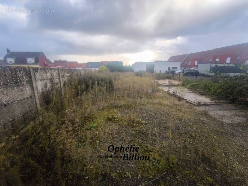 Terrain à SAINT-VENANT