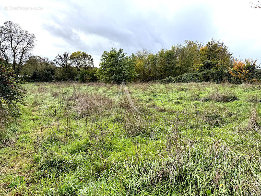 Terrain à SAINT-CYR-EN-TALMONDAIS