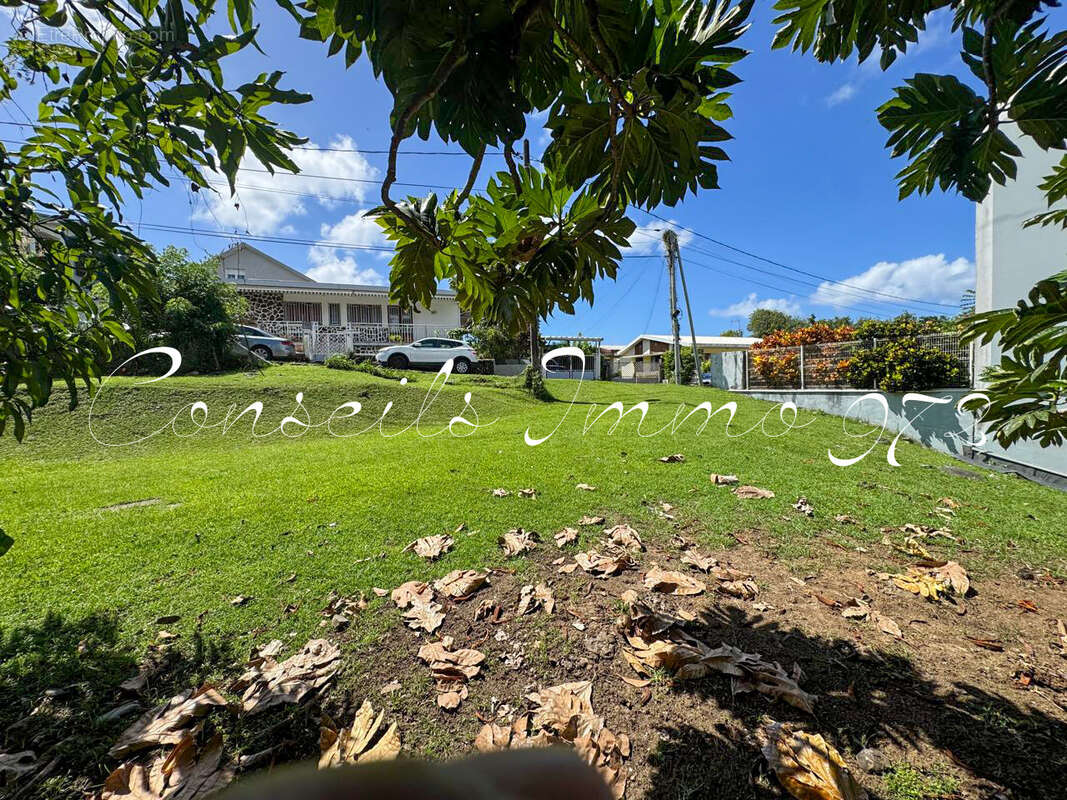 Terrain à SCHOELCHER