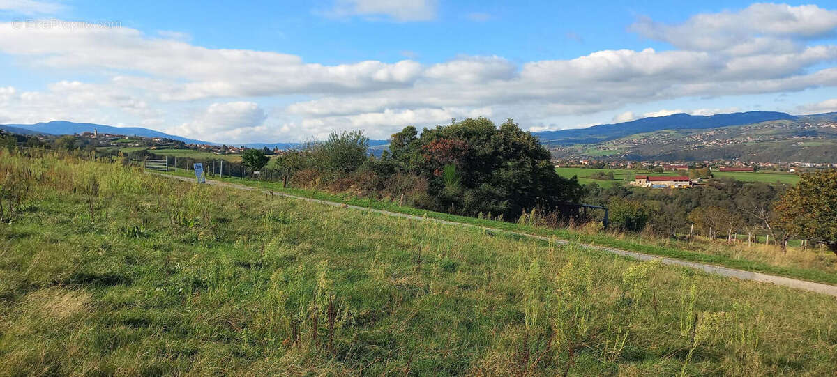 Terrain à CHATEAUNEUF