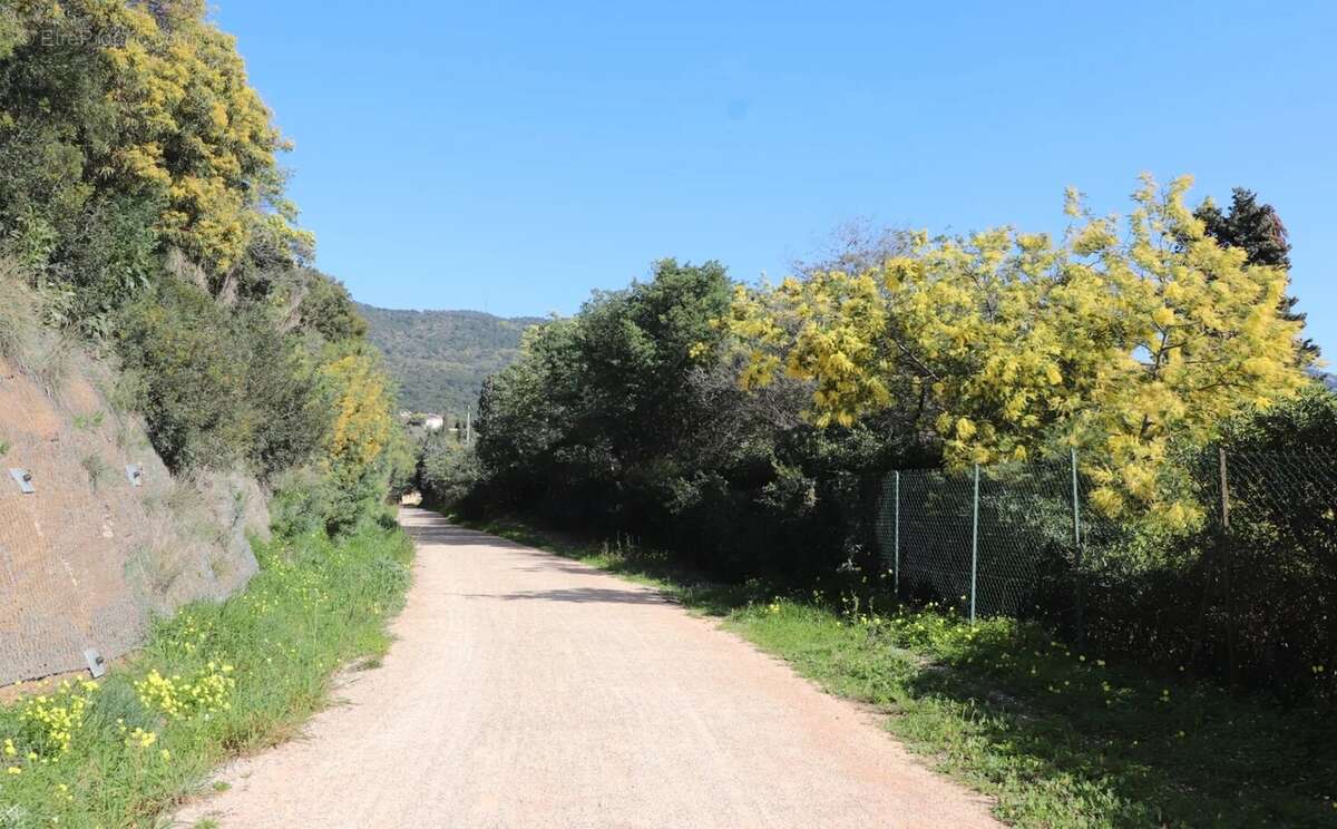 Maison à RAYOL-CANADEL-SUR-MER