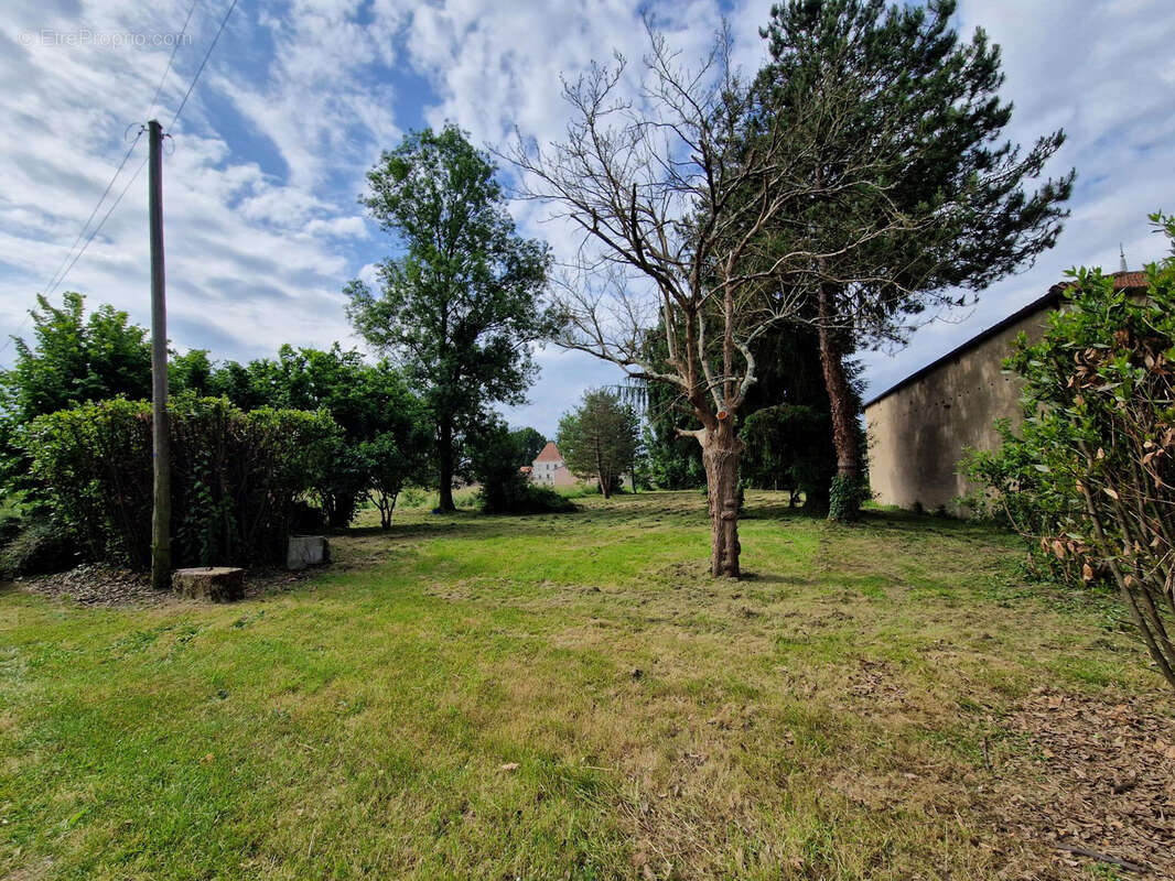 Terrain à SAINT-CIERS-SUR-GIRONDE