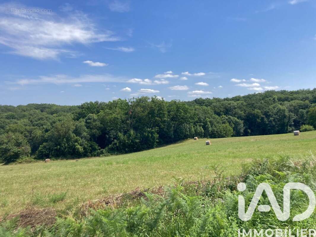 Photo 2 - Terrain à POUYASTRUC