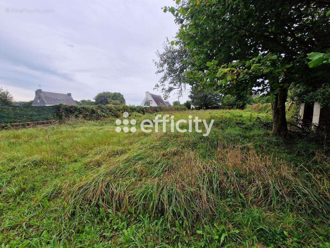 Terrain 970 m² à Gourin  - photo 7