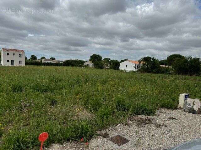 Terrain à BOUHET