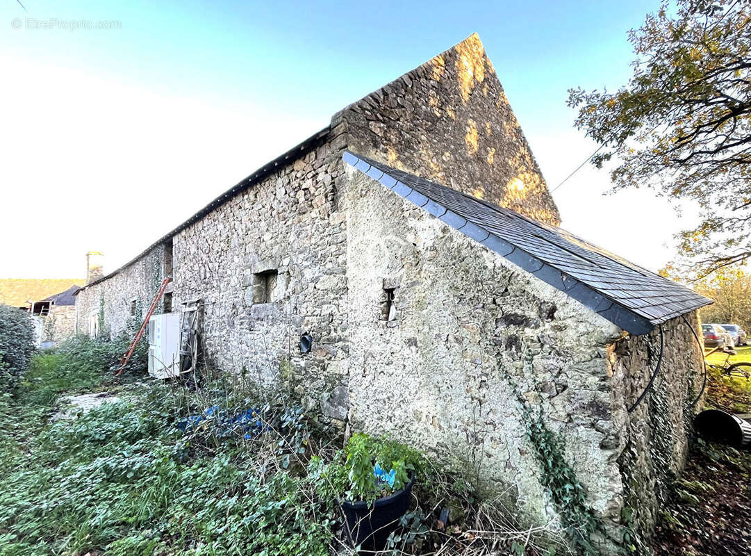 Maison à AMBON
