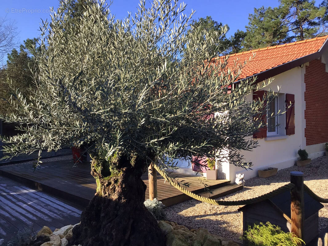 Maison à SOULAC-SUR-MER