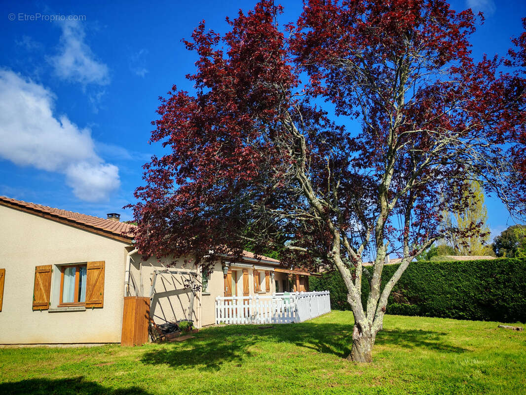 Maison à LISLE-SUR-TARN
