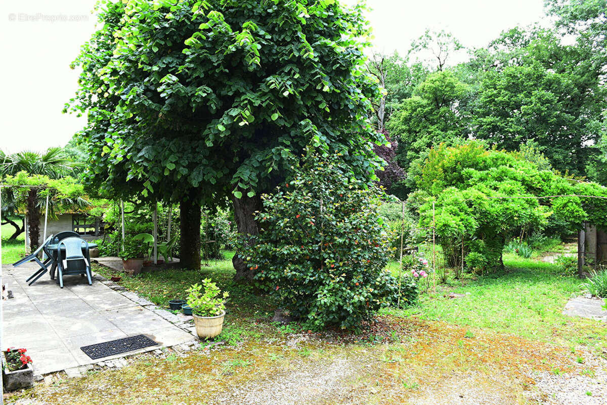 Maison de charme avec beau potentiel ! - photo 11