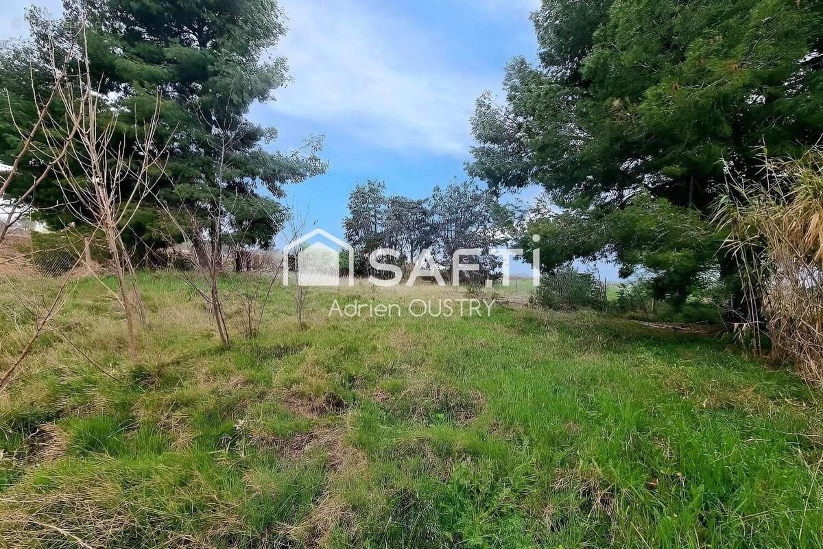 Photo 3 - Terrain à MARSEILLAN