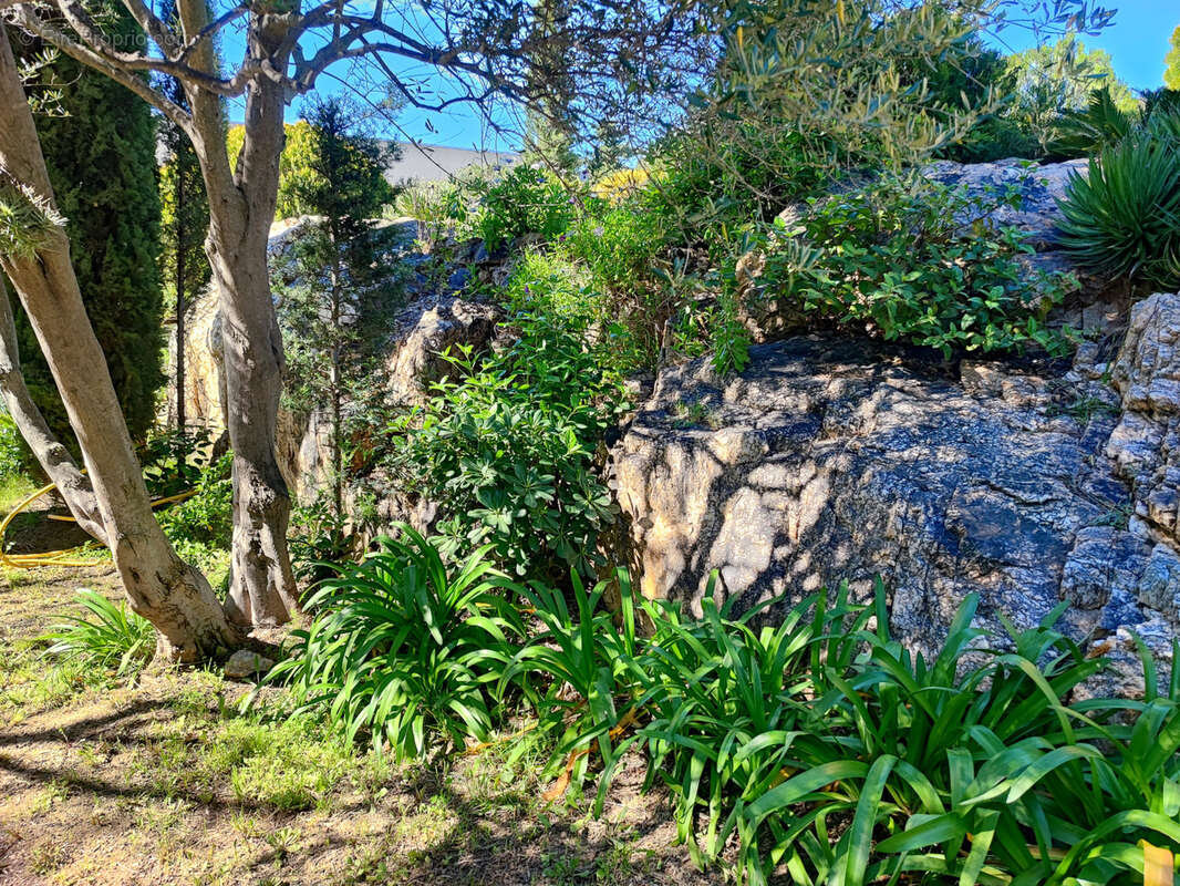 Maison à LA SEYNE-SUR-MER