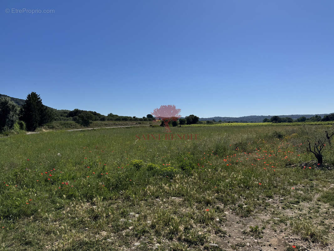 Terrain à ANIANE