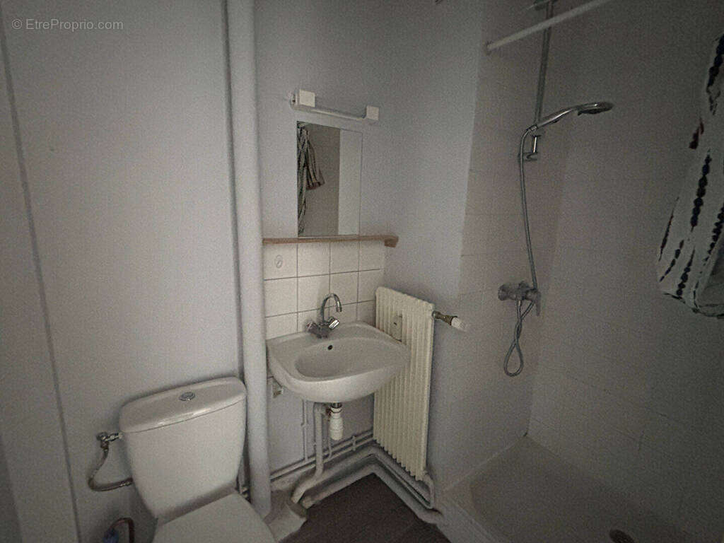 Appartement 1 pièce 29 m² Châteauroux - photo 3