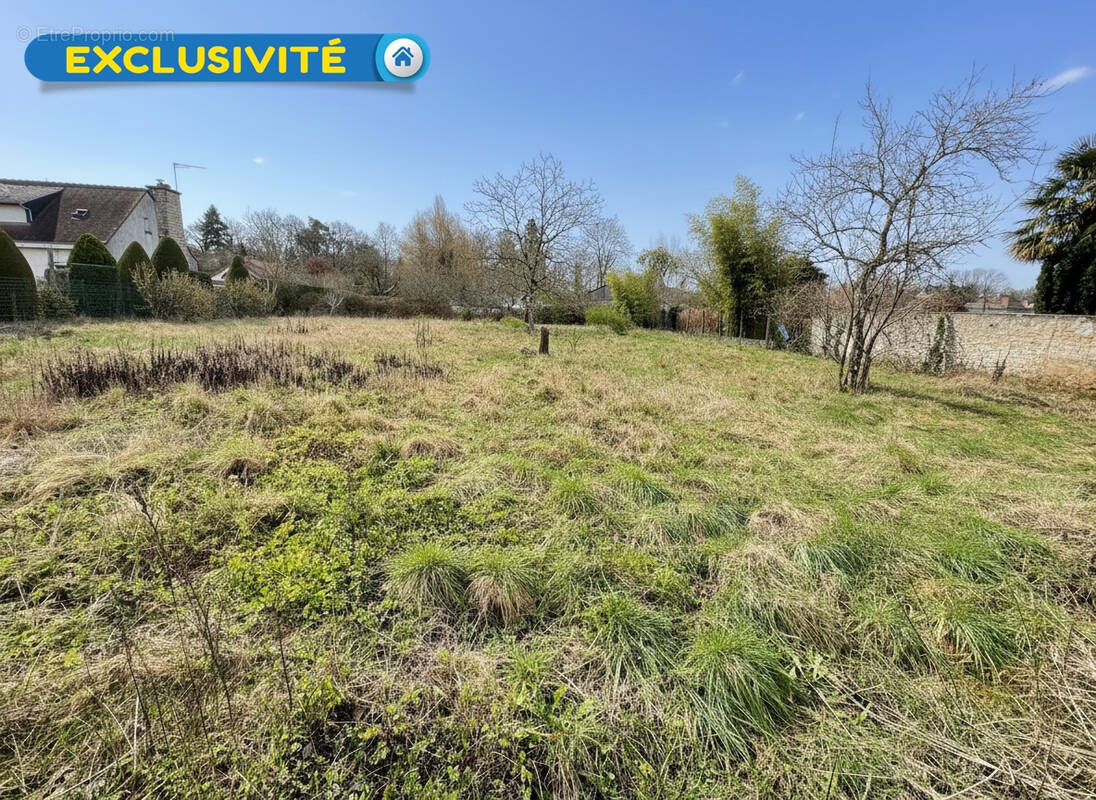 Terrain à VITRY-AUX-LOGES