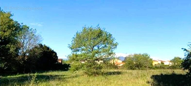 Photo Terrain à Saint-Jean-Pla-De-Corts au prix de 99 900€