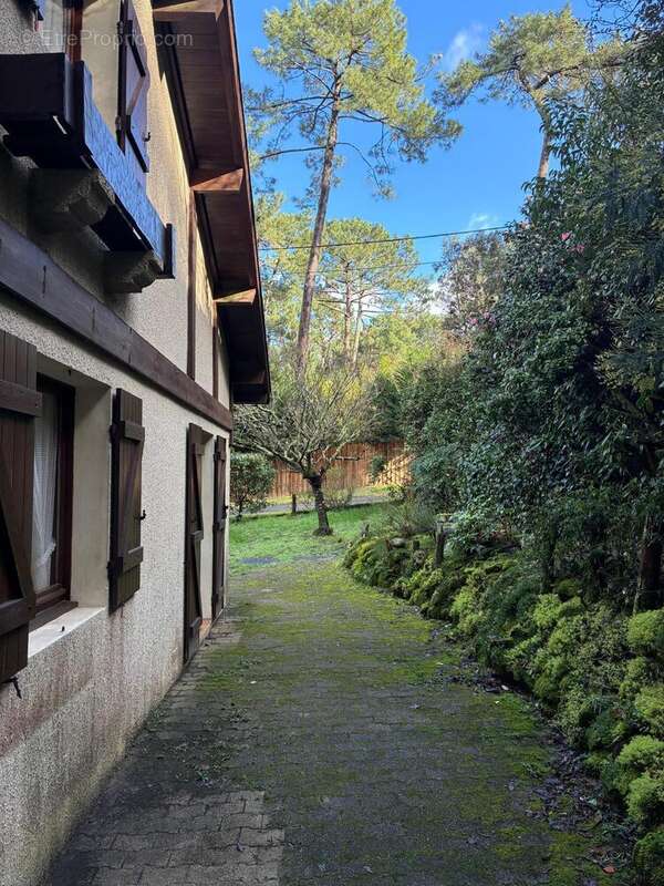 Photo 2 - Maison à LA TESTE-DE-BUCH