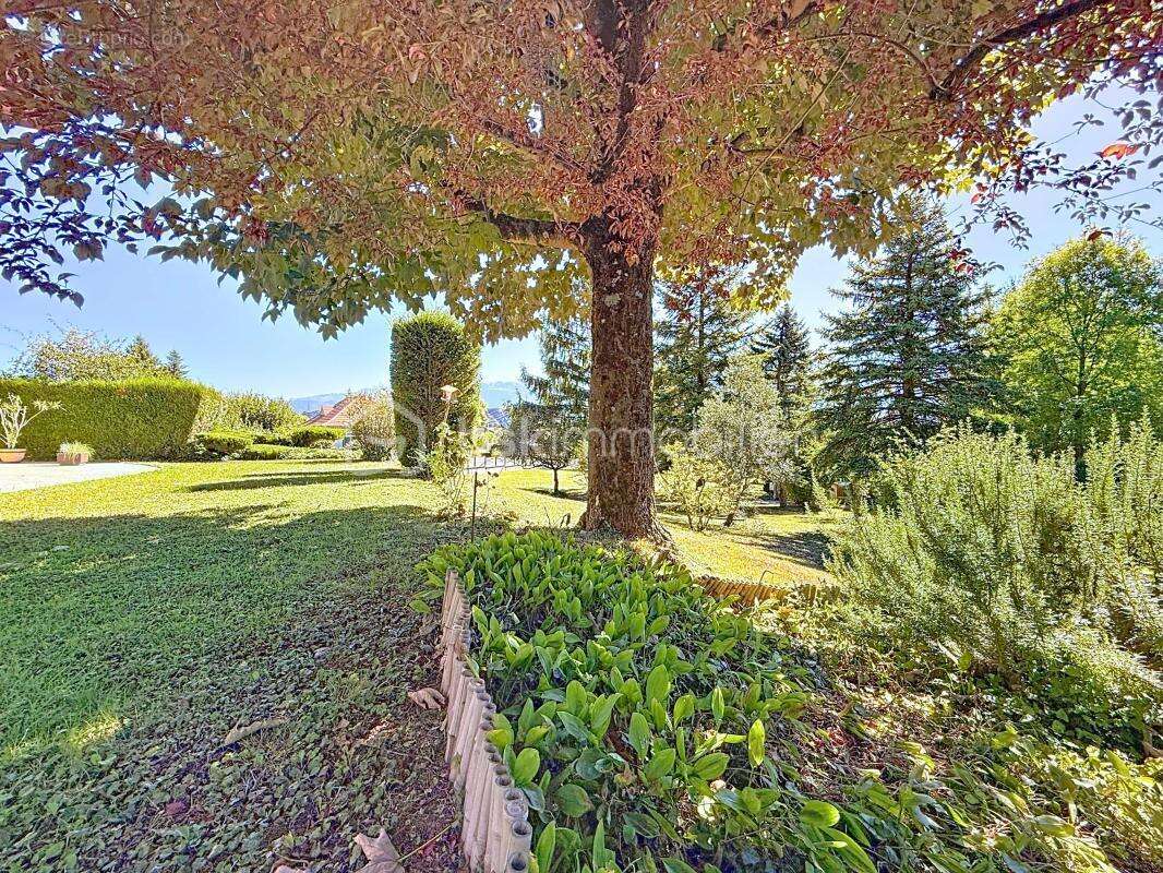 Maison à VARCES-ALLIERES-ET-RISSET