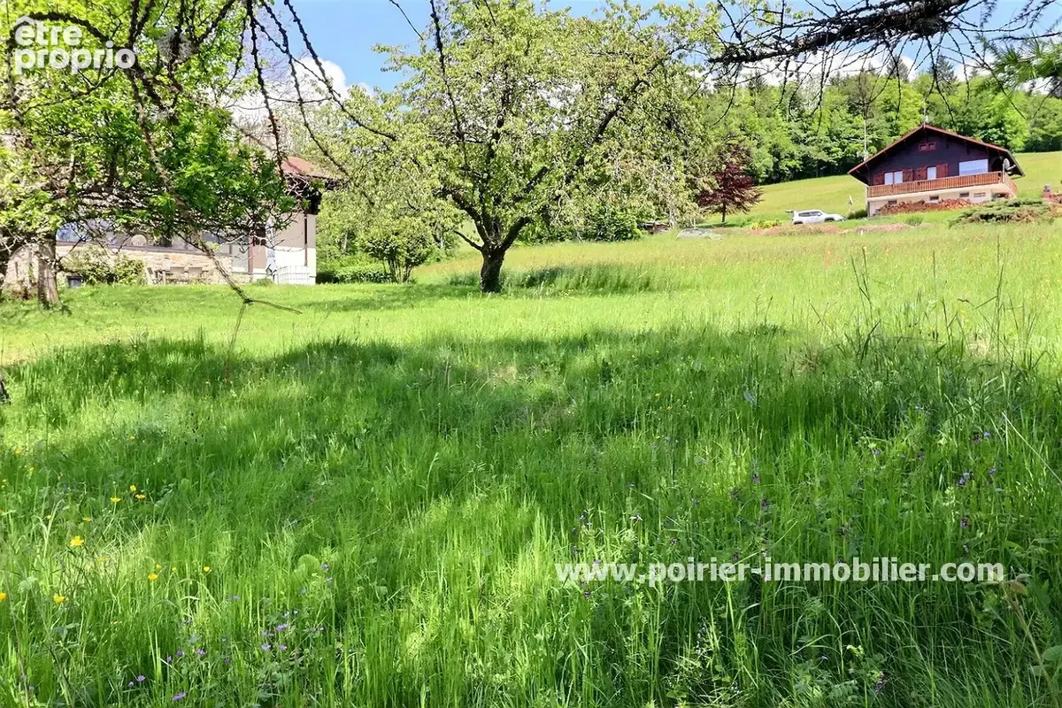 Photo Terrain à Saxel au prix de 169 000€