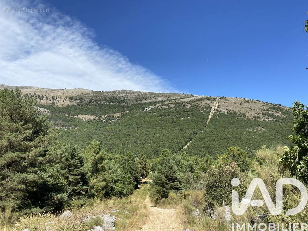 Photo 1 - Terrain à SAINT-VALLIER-DE-THIEY