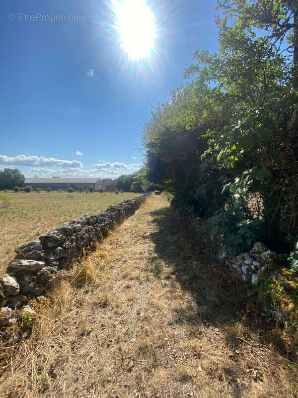 Corps de ferme Laburgade - photo 9