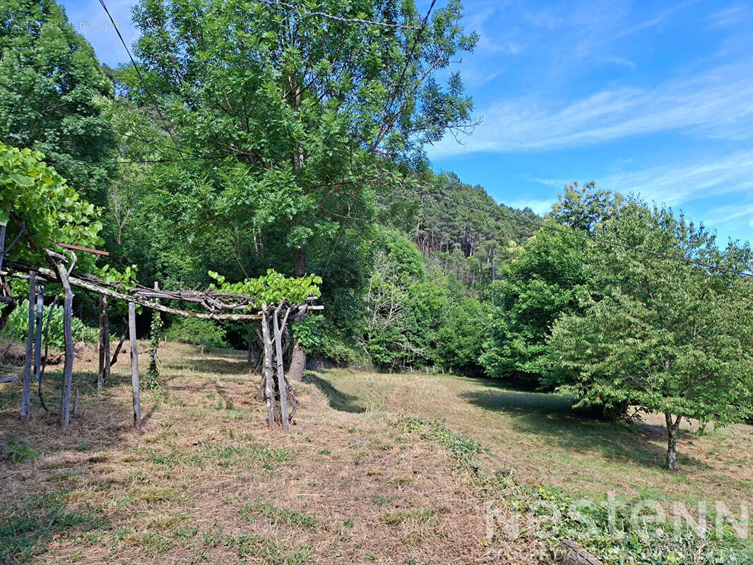 Maison en pierre avec 4 ha de terrain ? Vue dégagée, calme ? Le Collet-de-Dèze (Cévennes) - photo 8