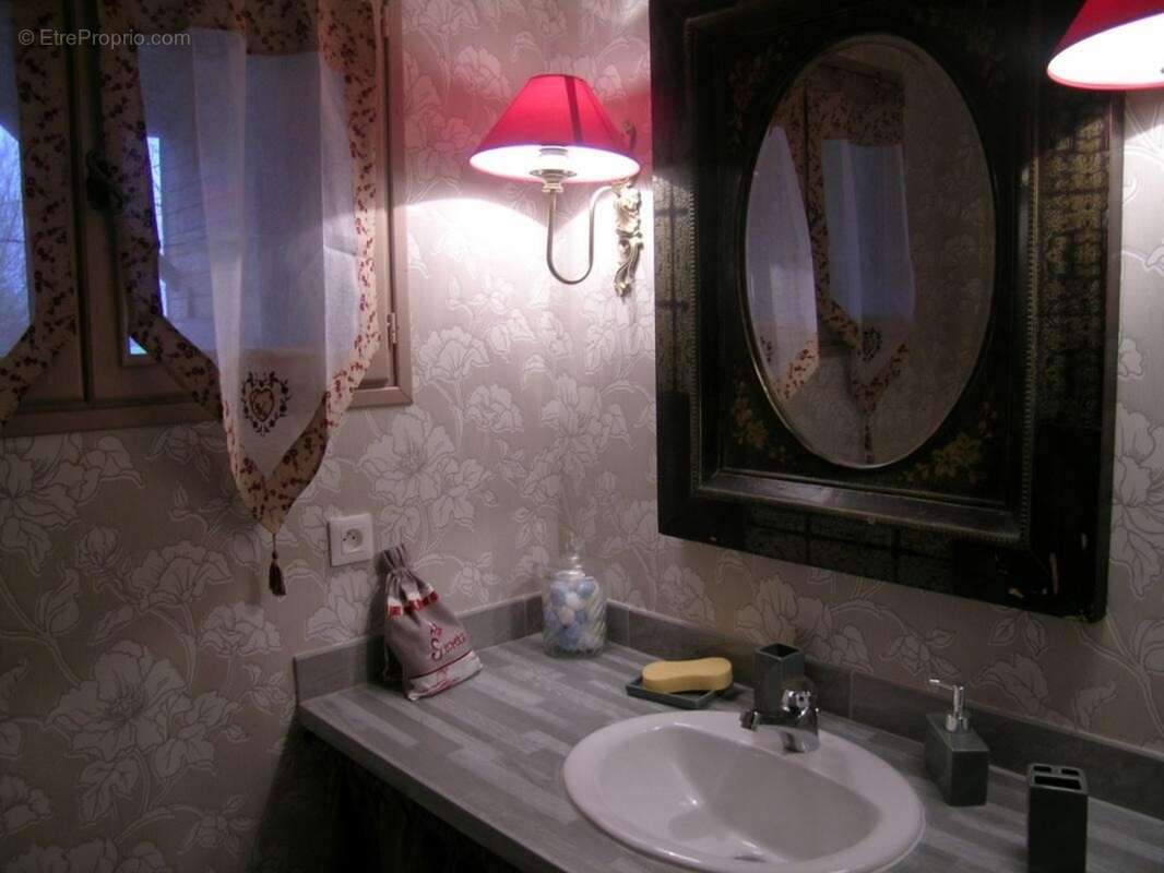 Propriété à vendre SAINT HILAIRE ( allier) comprenant une maison et un gite sur un parc de 23433 m² - photo 29