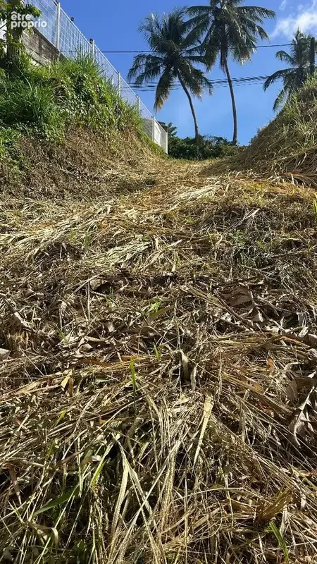 Terrain 800 m² à vendre à Riviere-Salee (97215) - photo 2