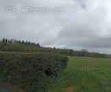 Terrain à CRENNES-SUR-FRAUBEE