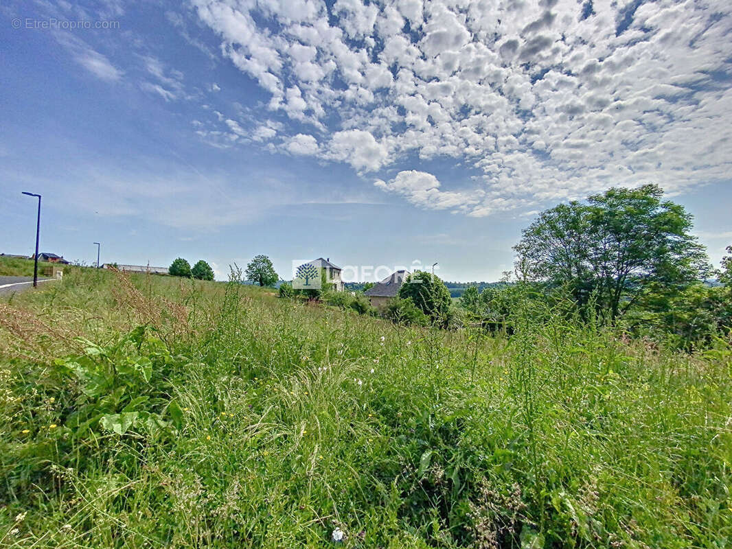 Terrain à LIEUTADES