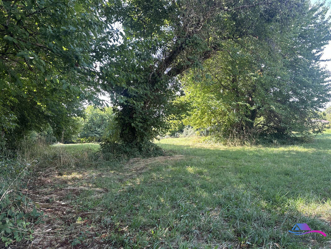 Terrain à SIDIAILLES