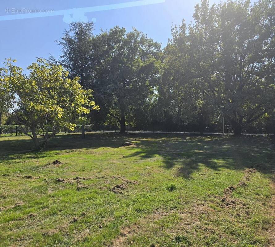 Photo 1 - Terrain à LA VILLE-DIEU-DU-TEMPLE