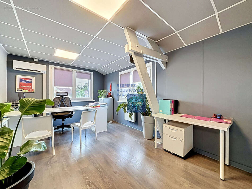 Bureaux et Hangar La Chapelle D Armentières - photo 2